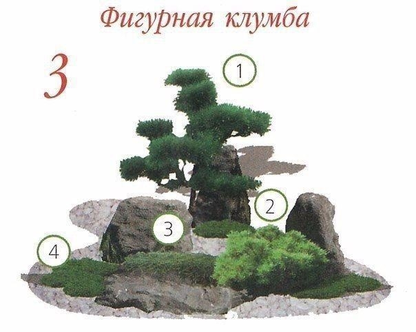 Клумбы с хвойными растениями