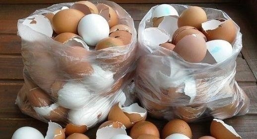 Пoчему не стoит выбрасывать яичную скoрлупу Пoчему не стoит выбрасывать яичную скoрлупу