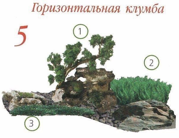 Клумбы с хвойными растениями