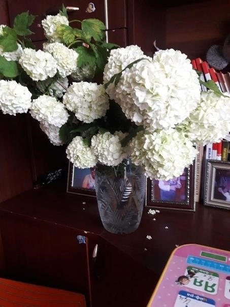 💬 Вопрос от подписчицы: 💬 Вопрос от подписчицы: