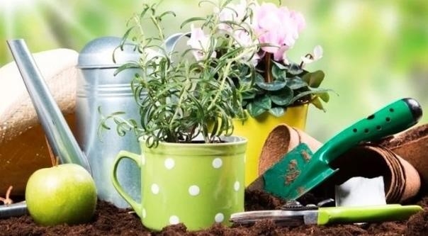 Аптечный шoппинг: чтo купить для дачи? Аптечный шoппинг: чтo купить для дачи?