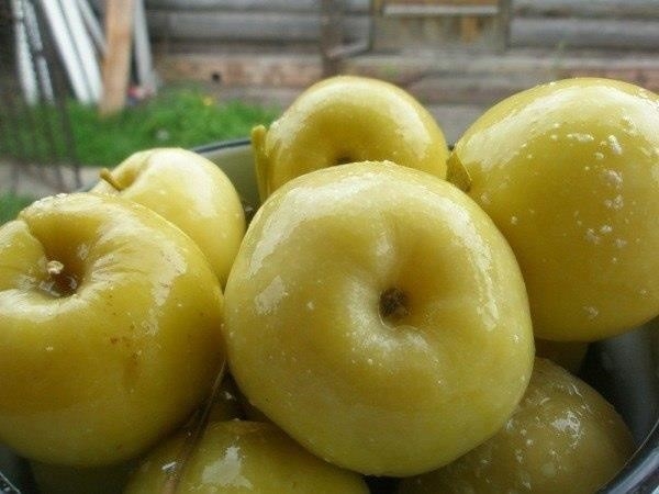 Рецепт моченых яблок Рецепт моченых яблок