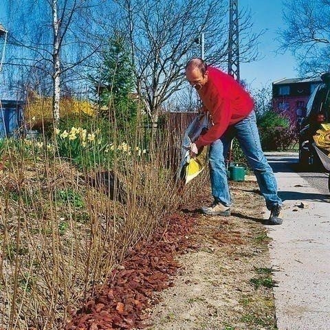 Делаем живую изгородь. Фото-мастер-класс 