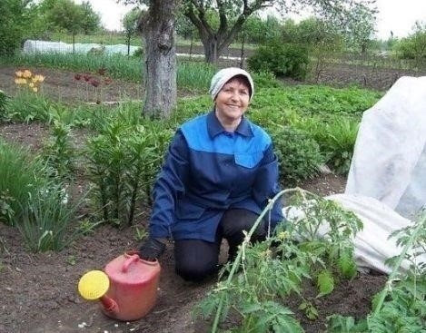4 ценных совета от опытного огородника 👇🏻 4 ценных совета от опытного огородника 👇🏻