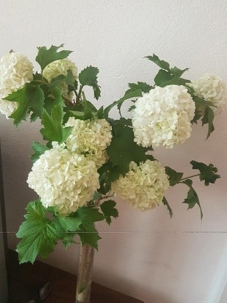 От подписчицы: От подписчицы: