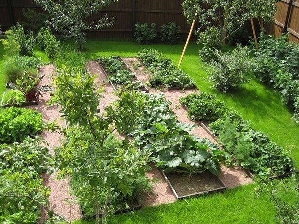 Дрожжевые подкормки полезны для всех овощных культур, земляники, цветов. Отлично зарекомендовало себя применение дрожжевого раствора и в качестве внекорневой подкормки. 